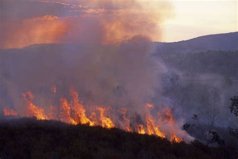 Alergias Mortales Infartos O Cólera Los Devastadores Efectos Del Calentamiento Global En