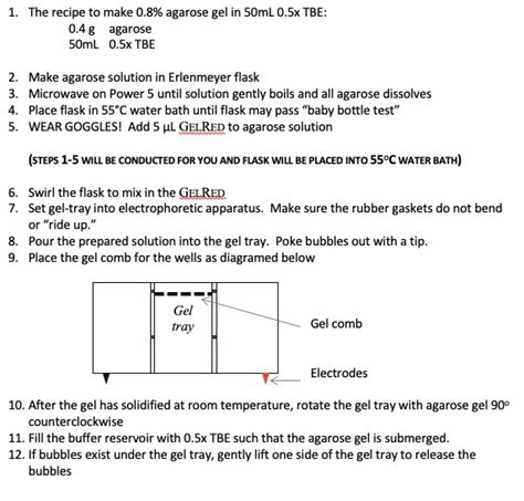 3 Agarose Gel Recipe | Besto Blog