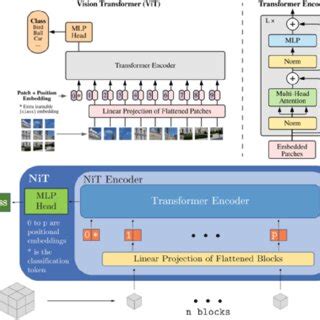 Overview of the Vision Transformer architecture (reproduced from [15 ...