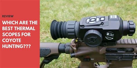 The 6 Best Thermal Scopes For Coyote Hunting 2025