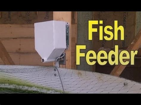 DIY Automatic fish feeder : aquaponics