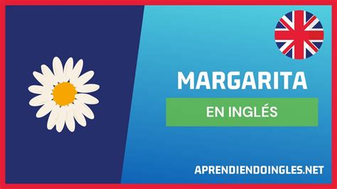 C Mo Se Dice Margarita En Ingl S Aprende A Escribir Margarite