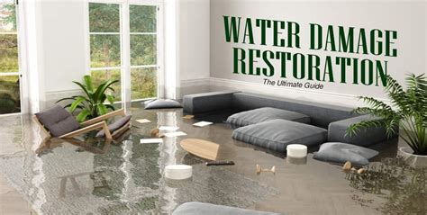 Water Damage Restoration The Ultimate Guide