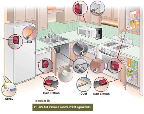 How to Get Rid of Roaches, Indoor Roach Control, Get Rid of Roaches Guide