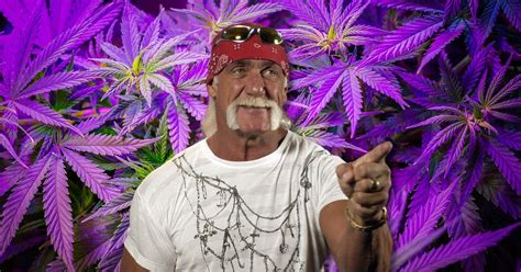 El Legendario Luchador Hulk Hogan Lanzará Su Marca De Thc Y Cbd