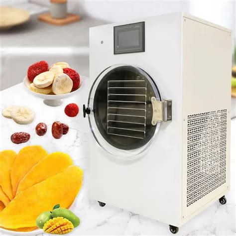 Small Mini Laboratory Vacuum Freeze Drying Equipment Home Food Freeze