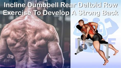 Incline Dumbbell Rear Deltoid Row: Exercise To Develop A Strong Back