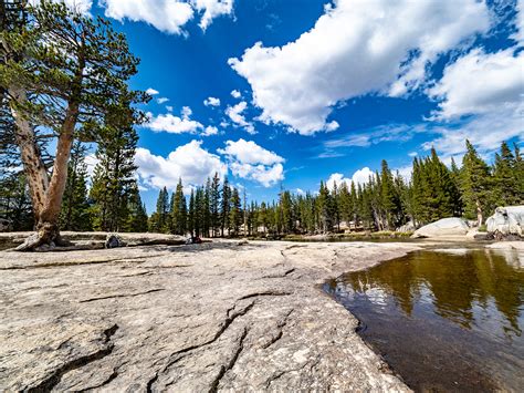 Lyell Canyon, Yosemite on Behance