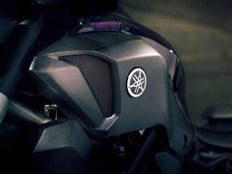 Yamaha MT 07 2014 datos oficiales y fotos de la nueva naked bicilíndrica