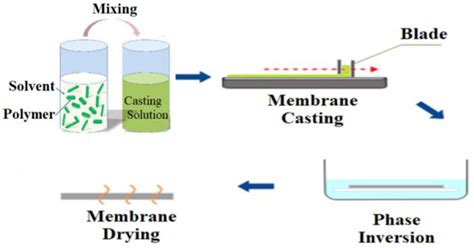 Membranes Free Full Text Impact Of Membrane Modification And