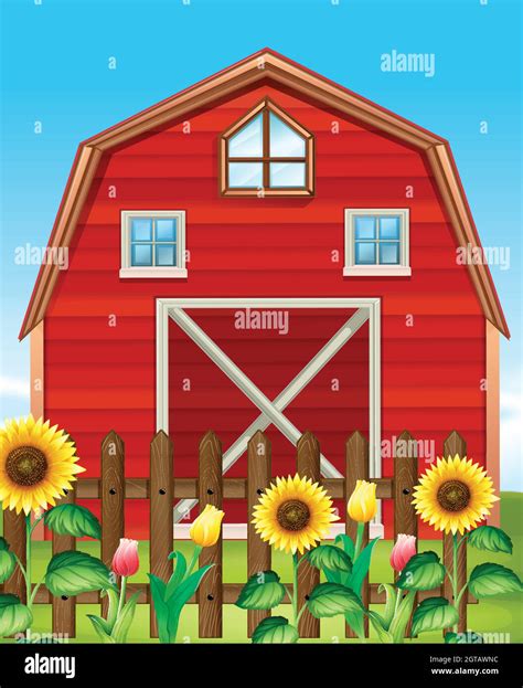 Red Barn And Sunflower Field Stock Vector Image And Art Alamy