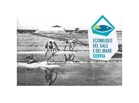 Ecomuseo Del Sale E Del Mare Di Cervia On Behance