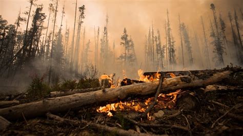 Wildfire Evacuations Have Unique Impacts On Indigenous Communities