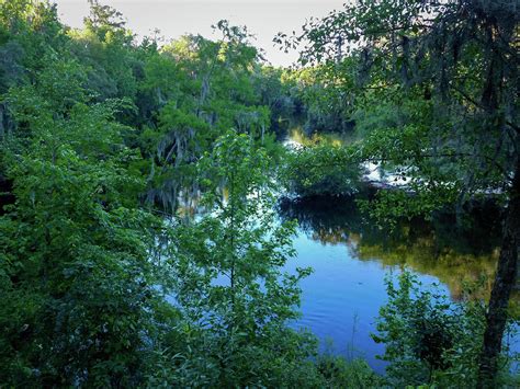 Suwanee River Evening Photograph by Jo M - Fine Art America