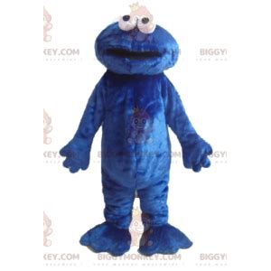 Sesame Street Grover Costume Toddler Buy Store | www.og6666.com