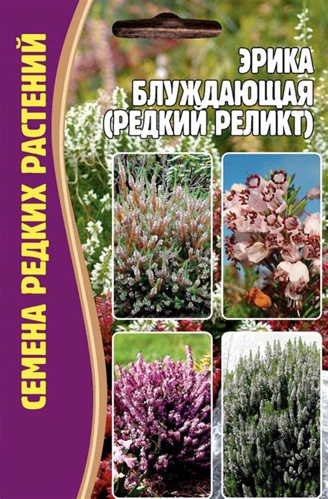 Семена Вереска купить на OZON по низкой цене