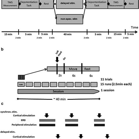 A Schematic Illustration Of Experimental Design B Timeline Of The