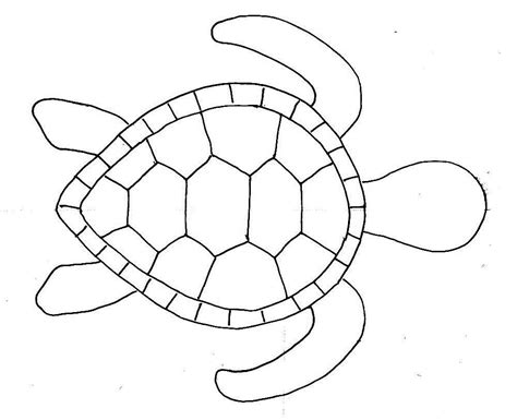 A Drawing Of A Sea Turtle