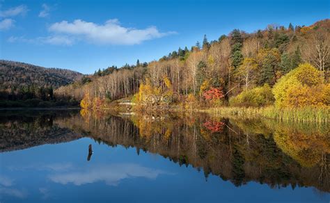 Autumn Scenery Picture And HD Photos | Free Download On Lovepik