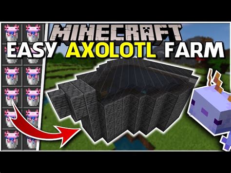 Minecraft Axolotl Guide How To Find Breed And Tame