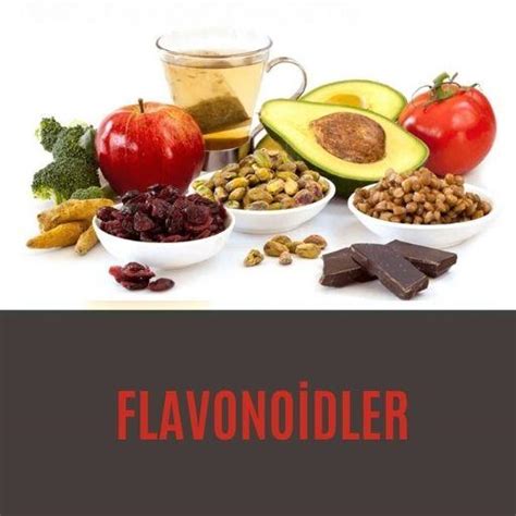 Flavonoidler Prof Dr Nevrez Koylan