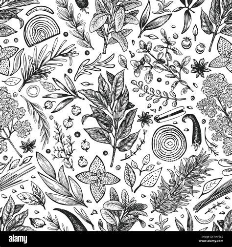 Culinary Herbs And Spices Seamless Pattern Vector Background For