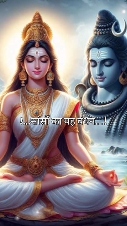 तेरा मेरा नाता अब कभी ना छूटे Mahadev Status Mahadev Status Video