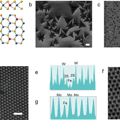 Schematic Diagram And Sem And Tem Images Of Fe Doped Mos And Ws