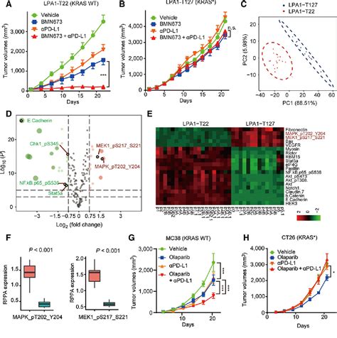 Figure 1 from MEK Inhibition Remodels the Immune Landscape of Mutant ... 