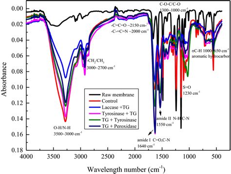 Fourier Transform Infrared Spectroscopy Ftir Spectra Of Raw Membrane Download Scientific