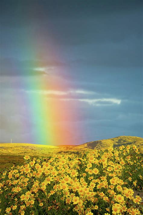 Rainbow And Sunshine Sale | dakora.com.co