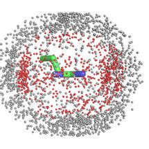 Distributions of asparagine and threonine side chain heavy atoms around... | Download Scientific ...