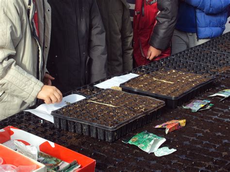 El Huerto Escolar En Febrero En Torno Al Huerto