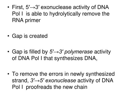 PPT - DNA Replication & Repair PowerPoint Presentation, free download ...