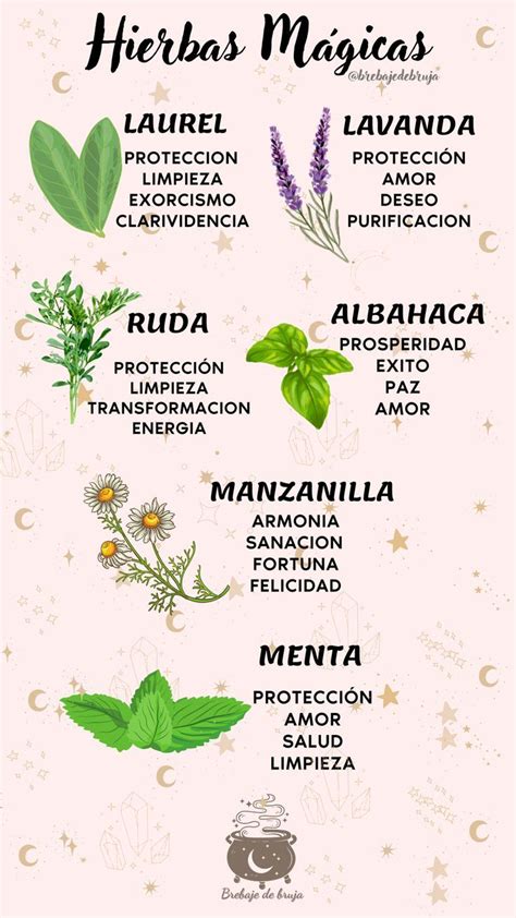 Magical Herbs Unlocking Their Power