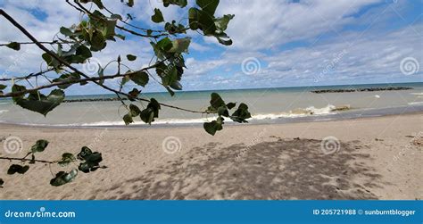 Lake Erie Shoreline in Erie, Pennsylvania Stock Photo - Image of branch ...