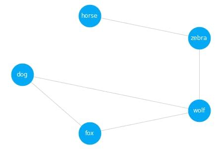 Introducing the Semantic Graph