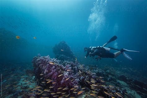 Scuba Diver Buddy Team Diving Over Coral Reef Del Colaborador De