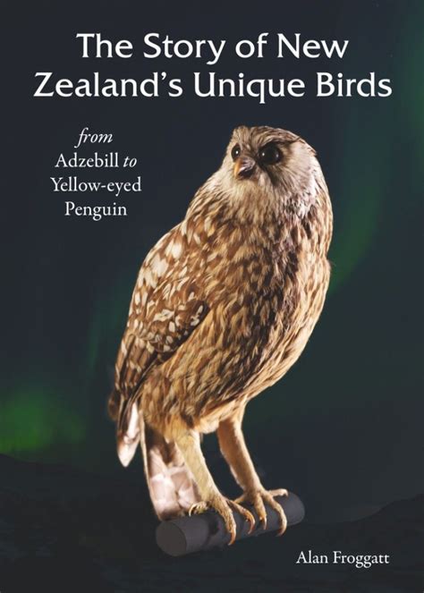 The Story Of New Zealands Unique Birds From Adzebill To Yellow Eyed