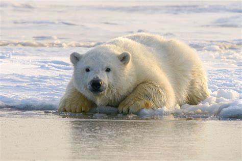 5月22日は「国際生物多様性の日」 急速に失われる多様性の保全を啓発する国際デー Eleminist（エレミニスト）