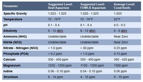 New Aquarium Setup Guide Reef Aquarium Basics