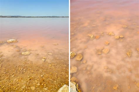 Torrviejas Pink Salt Lake Everything You Need To Know