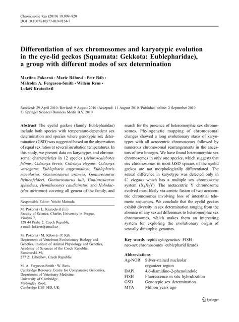 PDF Differentiation Of Sex Chromosomes And Karyotypic Evolution In The Eye Lid Geckos