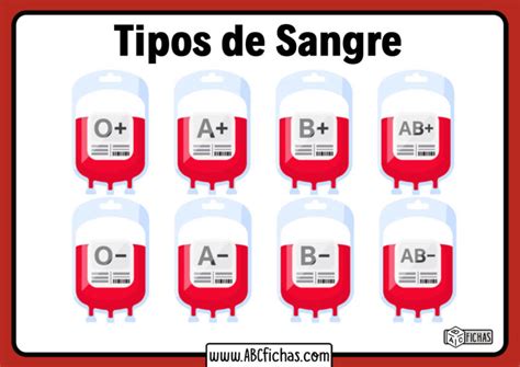 Tipos De Grupos Sanguineos Y Tu Que Tipo De Sangre Eres Images