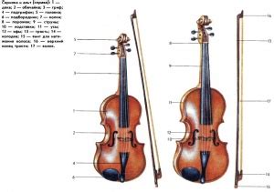 Скрипка, альт — Юнциклопедия