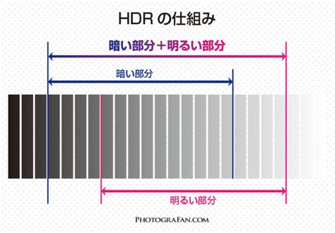 カメラのダイナミックレンジと白飛び・黒潰れの関係 フォトグラファン