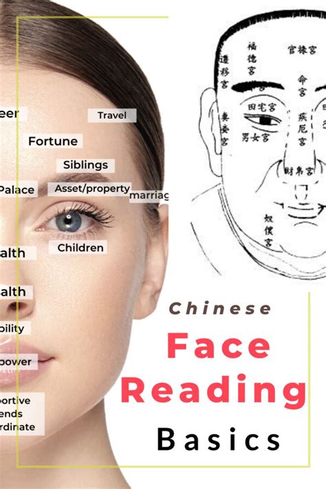 Chinese Face Reading Basics — Picture Healer Feng Shui And Fortune Telling Face Reading