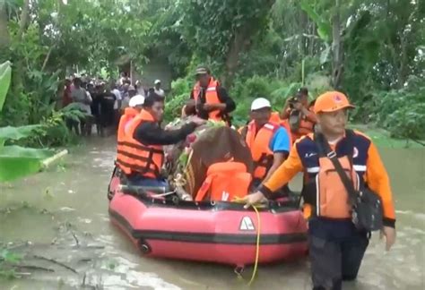 Miris Luapan Banjir Bengawan Solo Di Tuban Bikin Nenek Sutini Sulit