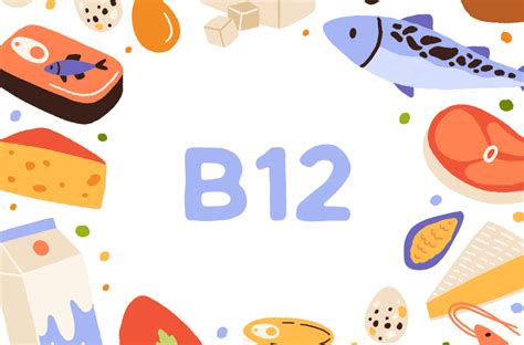 Vitamina B12 Para Que Serve Alimentos Ricos E Níveis Ideais