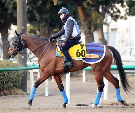 【注目馬動向】中山牝馬sを勝ったスルーセブンシーズが凱旋門賞に登録 競馬ニュース Netkeiba